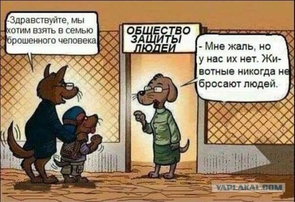 И тут они все внезапно вспомнили о своих охрененно срочных и важных делах