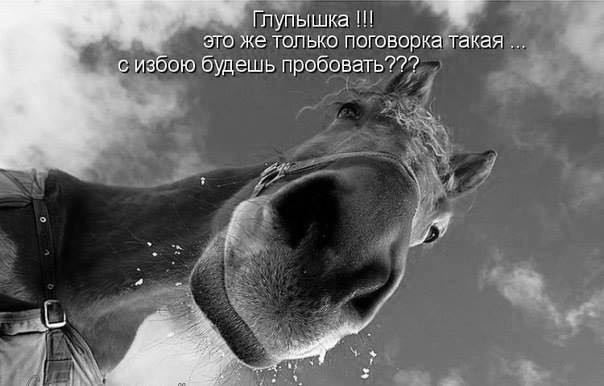 Доказали