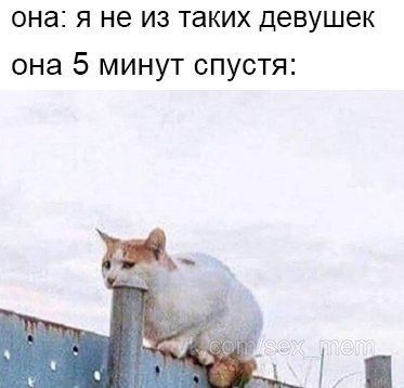 Немного картинок для взрослых 11.06.23