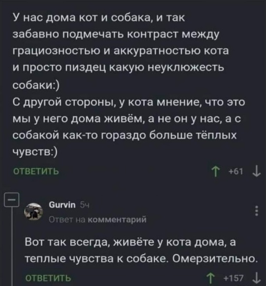 Забавные комментарии из социальных сетей (26.06.23)