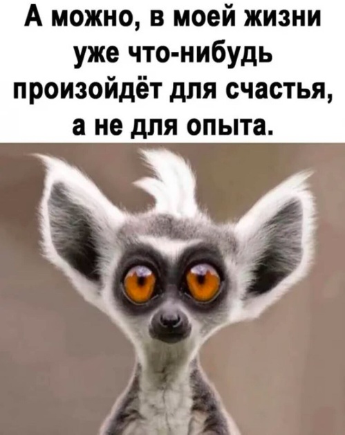 Так себе картинки 28.05.24