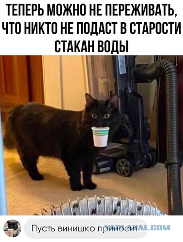 Так себе картинки 02.09.24