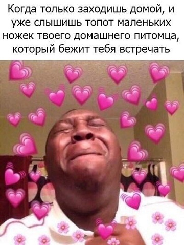 В защиту алкоголя
