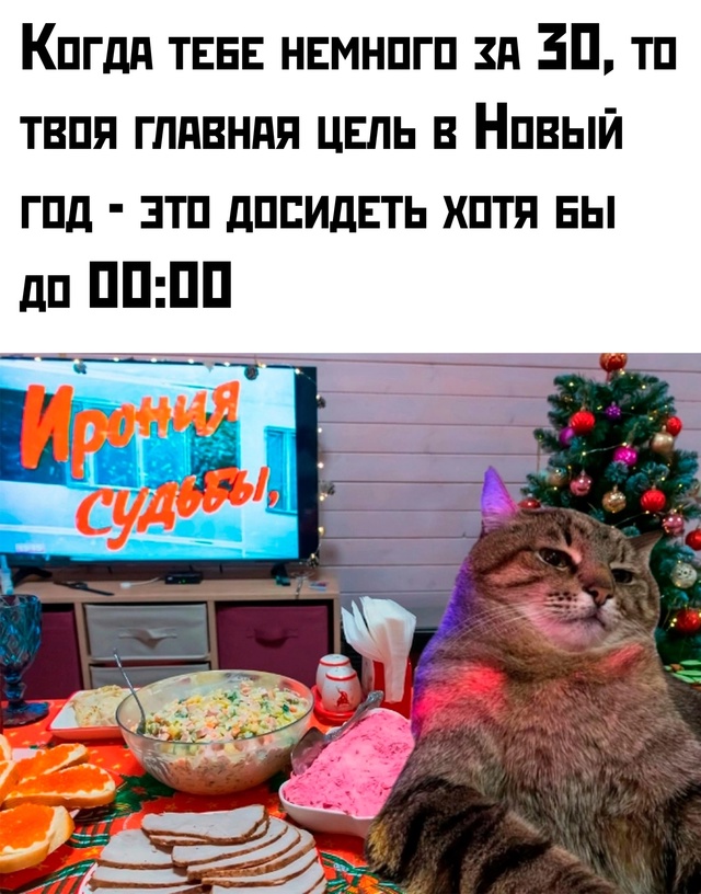 Весёлый полтишок 19.12.24