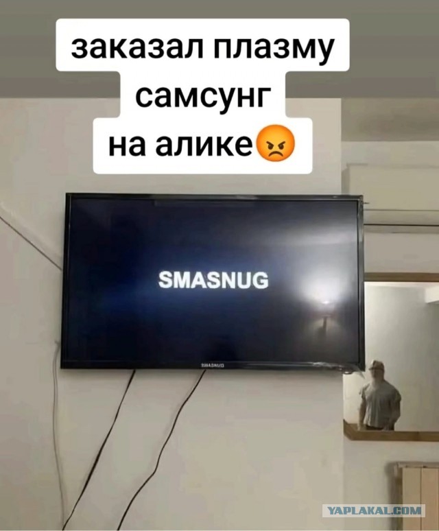 Весёлый полтишок 03.01.25