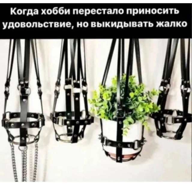 Весёлый полтишок 18.03.2025