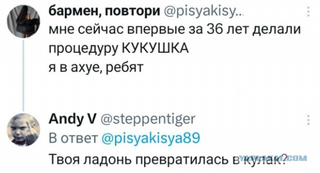 Веселые картинки в понедельник (19.05)