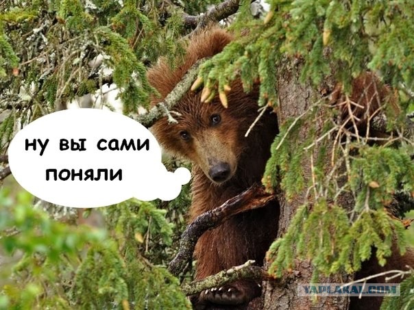 Исповедь проститутки