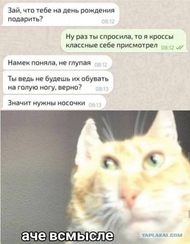 К котовторнику: подборка картинок-баянов с котиками и про котиков. Выпуск 18.