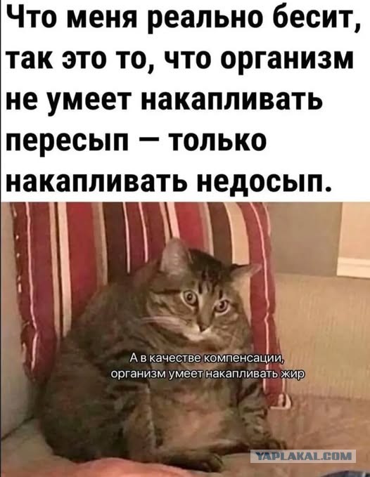 Веселые картинки в понедельник (08.01)