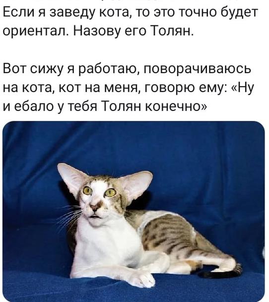Ориентация - хз