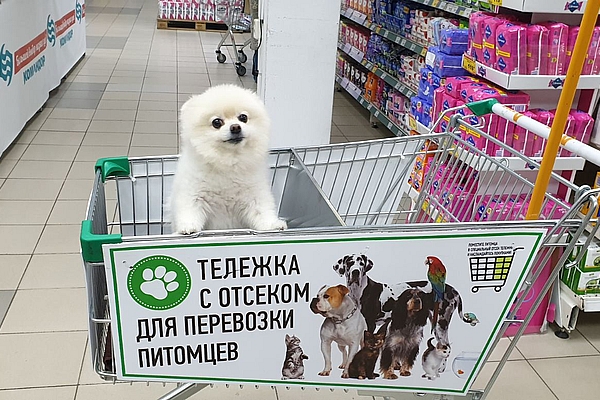 «Наша вина в том, что не решили проблему раньше»