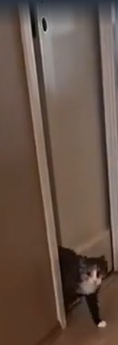 Скин поменял