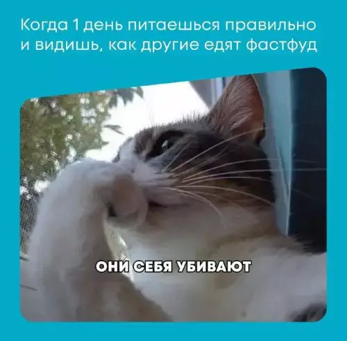 Картинки для деградации 195 (разной степени свежести)