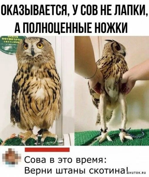 Доброта украшает мужчину