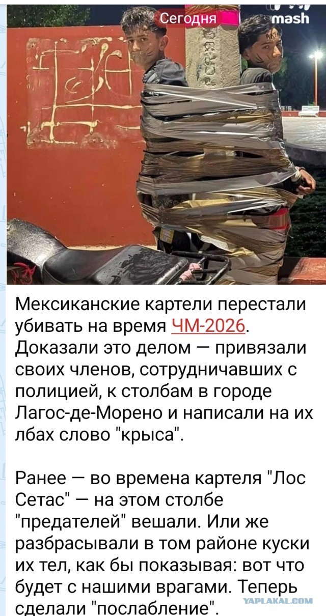 Жестяночка из Мехики