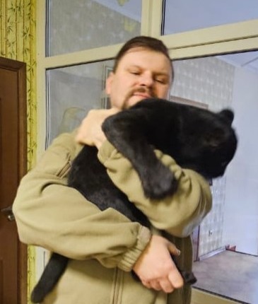 Сладких снов