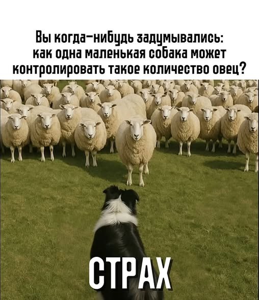 Забавные картинки, шутки из этих ваших интернетов
