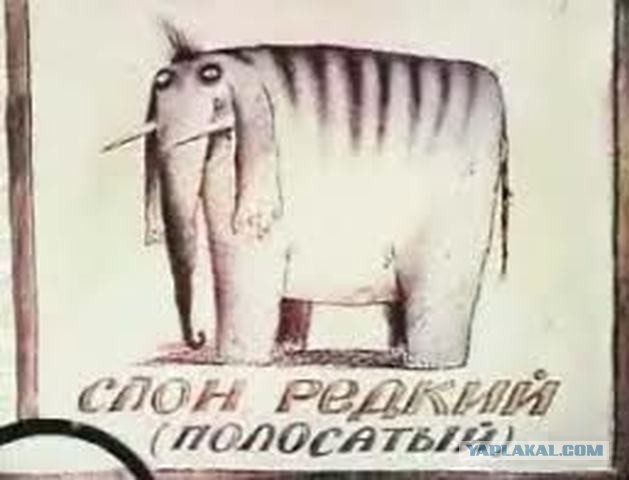 Психодел на детских площадках