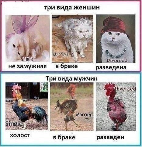 От меня ушла жена.