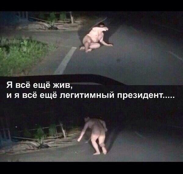 Про выступление Януковича завтра