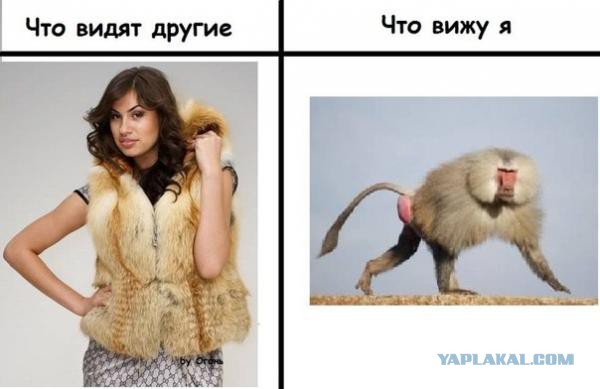 Ожидание - реальность