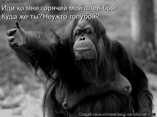 Улыбнуло часть "2"