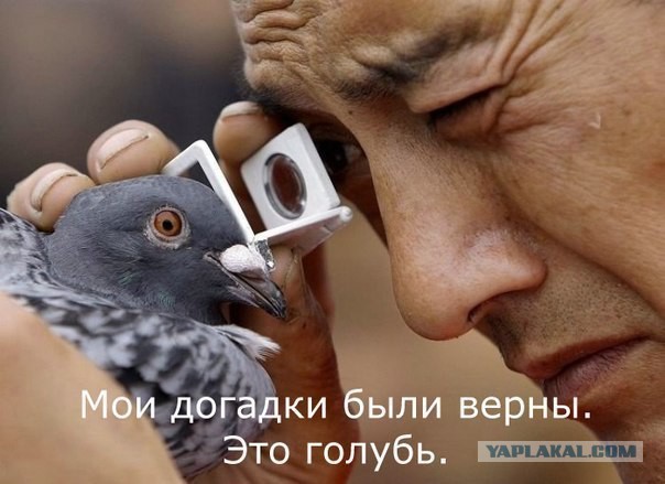 Комментарии из соцсетей