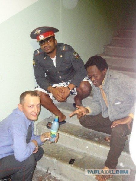 Свежий "Вестник социальных сетей"