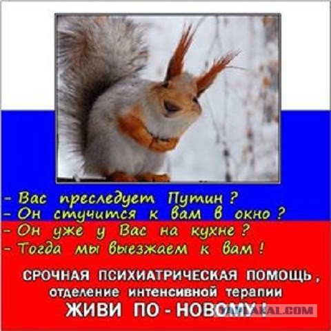 Подборка картинок