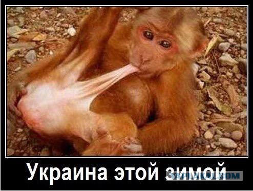 Китай требует от Яценюка выполнить контракты