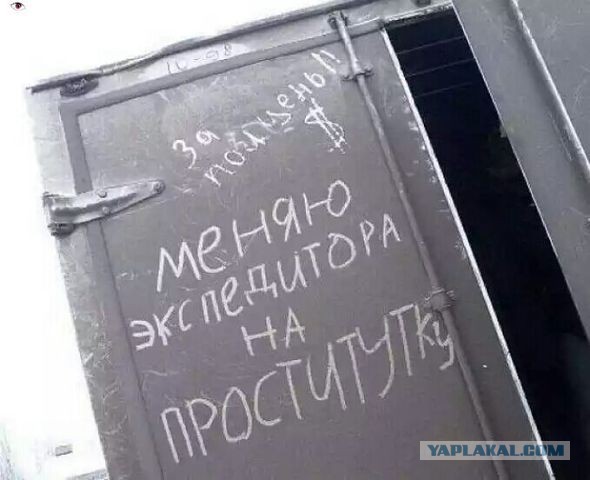 Весёлое из сети