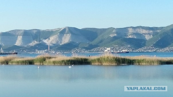 Хороший Новороссийск