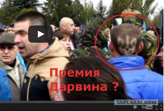 Перемирие кончилось, едва начавшись. Часть 7