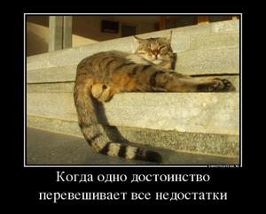 Известные котомемы.