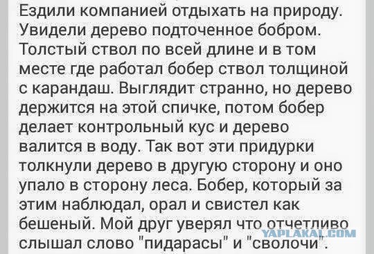 Наркоманский юмор