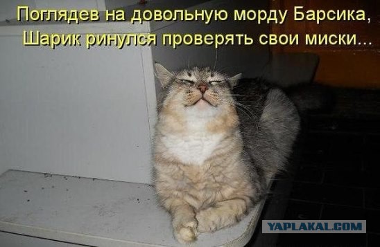 Просто картинки. Всяко разно, не заразно.
