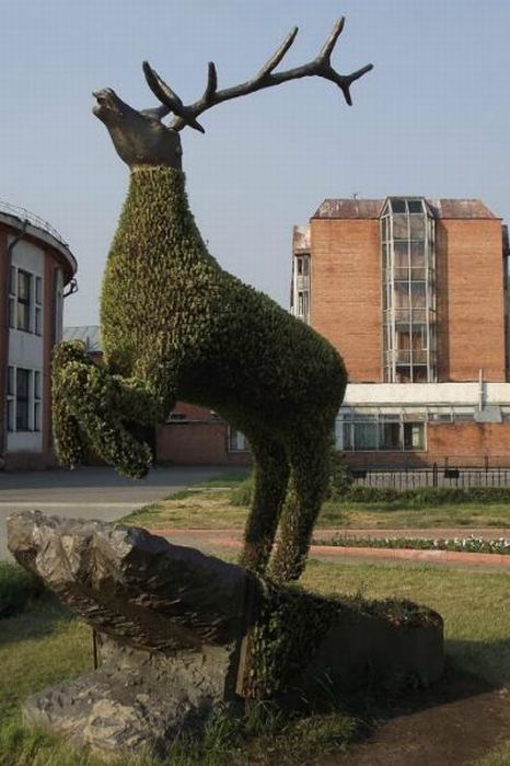 Разные картинки