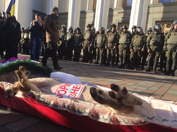 Перемирие кончилось, едва начавшись. Часть 15