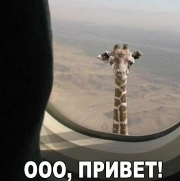 Веселые картинки