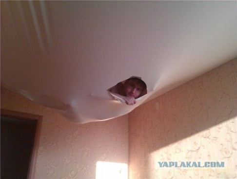 Виски с Колой