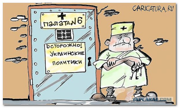 Чорновил: Не спешите переживать об украинцах, погибших в Боинге
