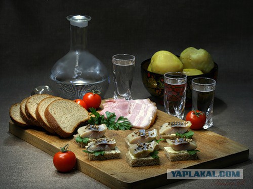 Фотографии с вечеринок, которые знаменитости хотели бы скрыть от нас