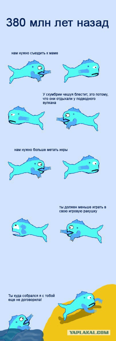 Как меняется жизнь после свадьбы