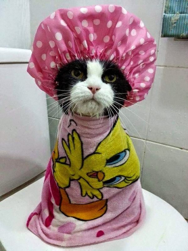 Фотоподборка