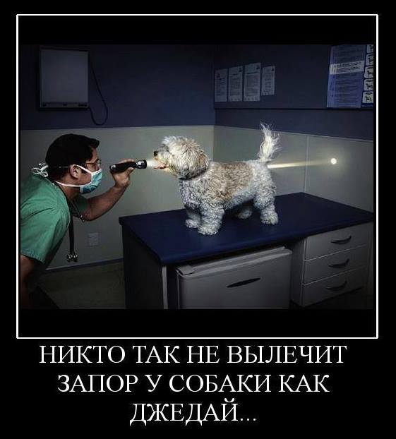 Подборка интересных и веселых картинок