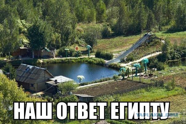 Картинки по запросу дачный сезон юмор