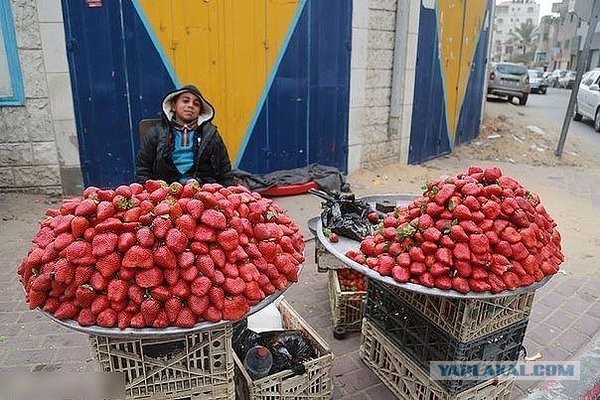 Любопытное в нашей жизни