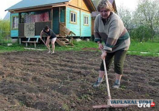 Как отдыхали сливки американского и европейского общества в 1960-х годах