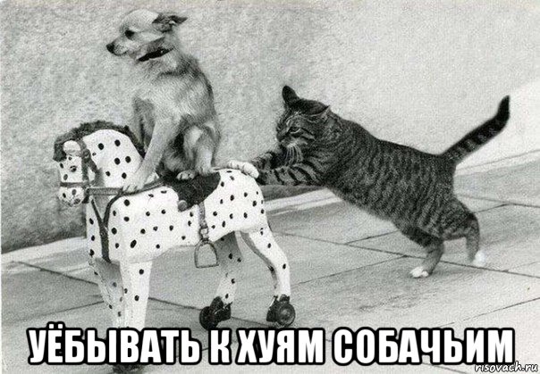 Подруга вернулась к мужу алкашу...